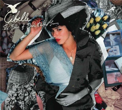 Cibelle - The Shine Of Dried Electric Leaves download mp3 flac