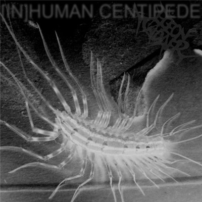 Pigeon Cadaver - [In]human Centipede download mp3 flac
