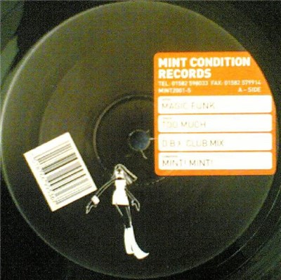 Magic Funk - Too Much download mp3 flac