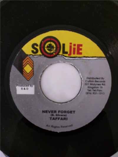 Taffari - Never Forget download mp3 flac
