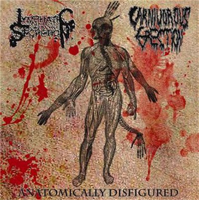 Lymphatic Secretion, Carnivorous Erection - Anatomically Disfigured download mp3 flac
