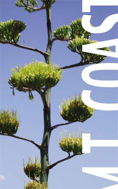 M.T. Coast - Agave download mp3 flac