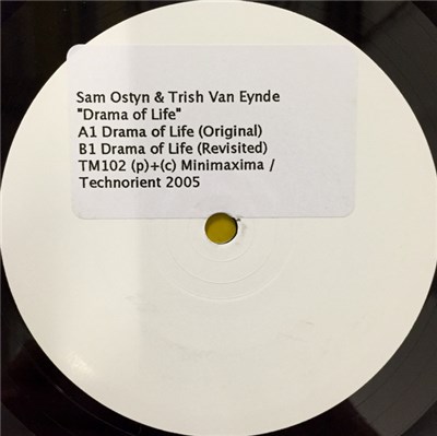 Sam Ostyn & Trish Van Eynde - Drama Of Life download mp3 flac