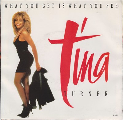 Tina Turner - What You Get Is What You See download mp3 flac