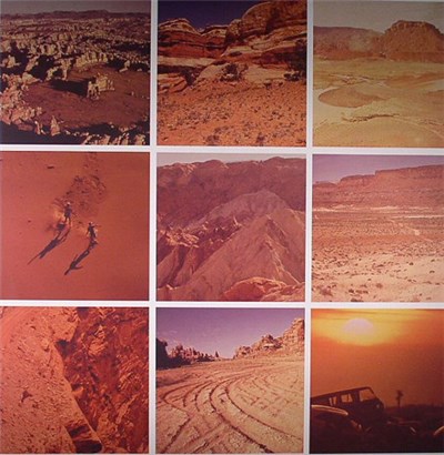 Date Palms - Honey Devash download mp3 flac