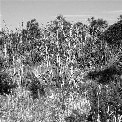 Hiemal - MMXVII - IV download mp3 flac