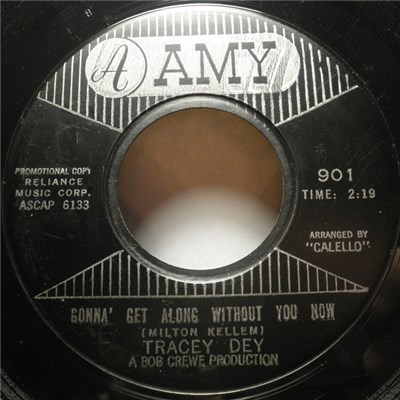 Tracey Dey - Gonna' Get Along Without You Now download mp3 flac