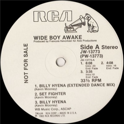 Wide Boy Awake - Billy Hyena download mp3 flac