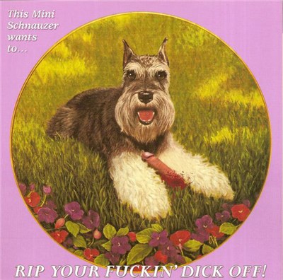 Schnauzer / Punching Moses - Rip Your Fuckin' Dick Off / Punching Moses download mp3 flac