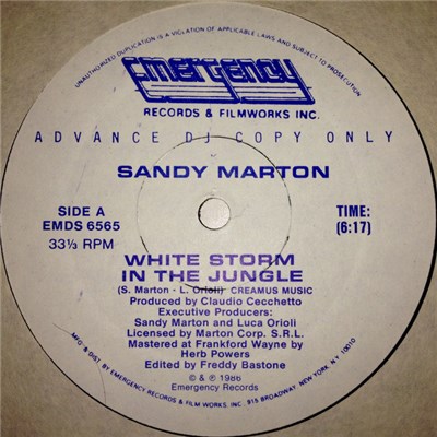 Sandy Marton - White Storm In The Jungle download mp3 flac