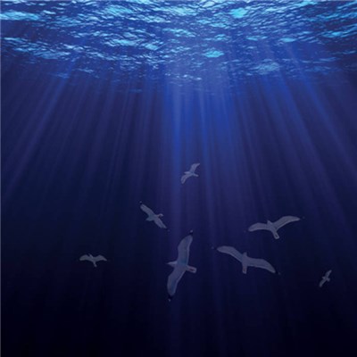 Stone In - The Drop And The Sea download mp3 flac