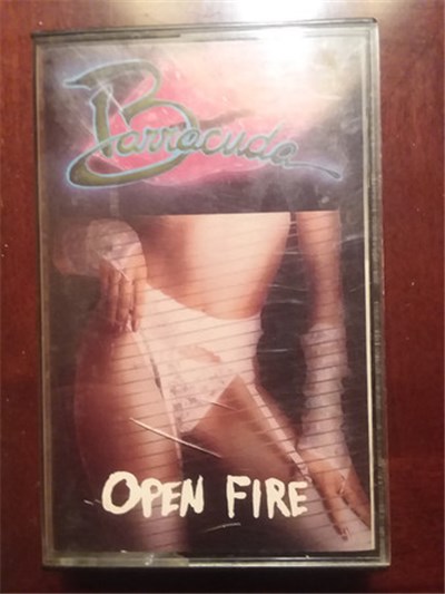 Barracuda - Open Fire download mp3 flac