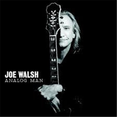 Joe Walsh - Analog Man download mp3 flac