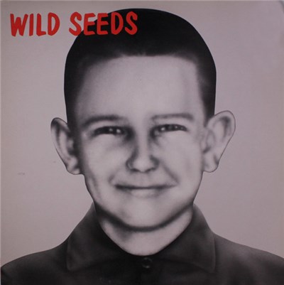 Wild Seeds - Brave, Clean + Reverent download mp3 flac