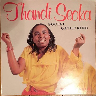 Thandi Seoka - Social Gathering download mp3 flac