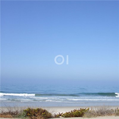 Bubble - OI download mp3 flac