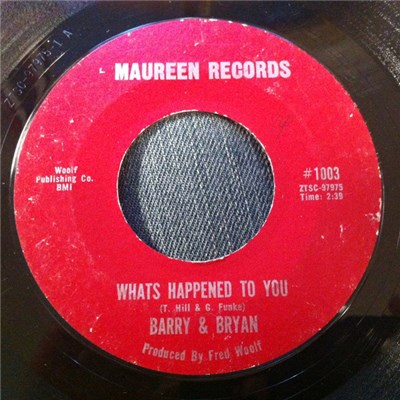 Barry & Bryan - Whats Happened To You download mp3 flac