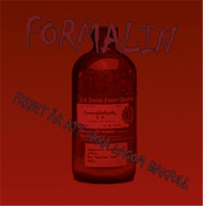 Formalin - Frihet Är Att Vara Lagom Bakfull download mp3 flac