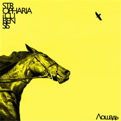 Stropharia & Cubensis - Лошадь download mp3 flac