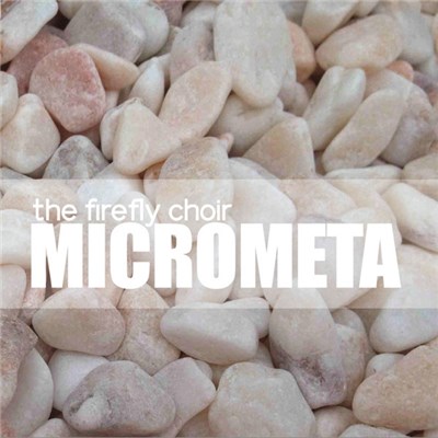 The Firefly Choir - Micrometa download mp3 flac