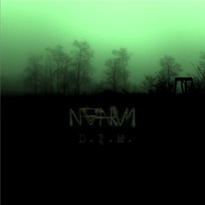 Nagaarum - D.I.M. download mp3 flac