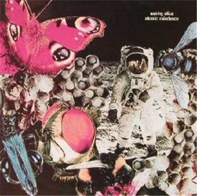 Wonky Alice - Atomic Raindance download mp3 flac