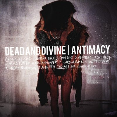Dead And Divine - Antimacy download mp3 flac