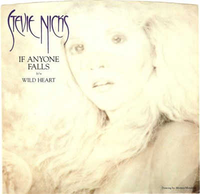 Stevie Nicks - If Anyone Falls download mp3 flac