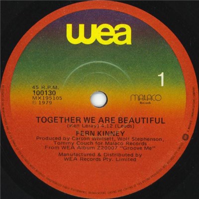 Fern Kinney - Together We Are Beautiful download mp3 flac