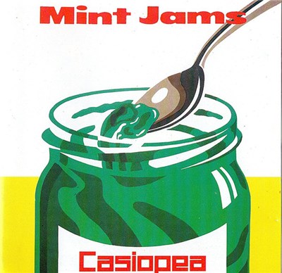 Casiopea - Mint Jams download mp3 flac