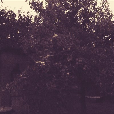 Gub - Alma download mp3 flac