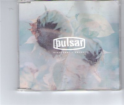 Pulsar - Riaccendi I Colori download mp3 flac