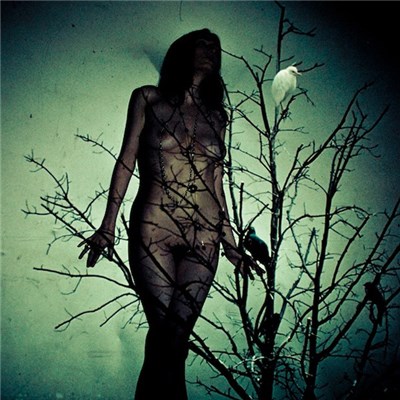 The Atlas Moth - An Ache For The Distance download mp3 flac