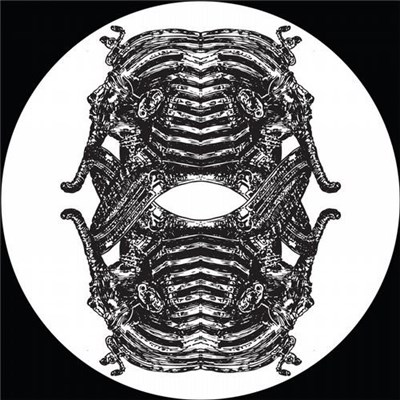 Pfirter - The Fall Of The Empire Is Imminent download mp3 flac