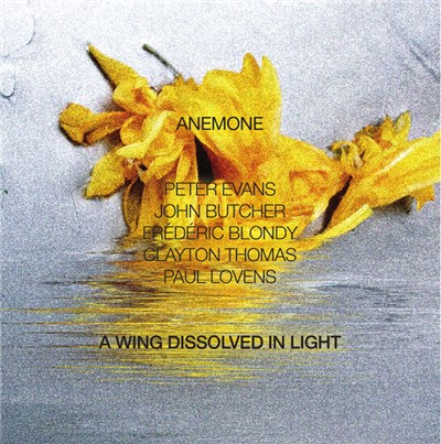 Anemone - A Wing Dissolved In Light download mp3 flac