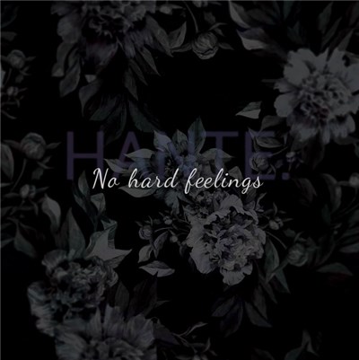 Hante. - No Hard Feelings download mp3 flac
