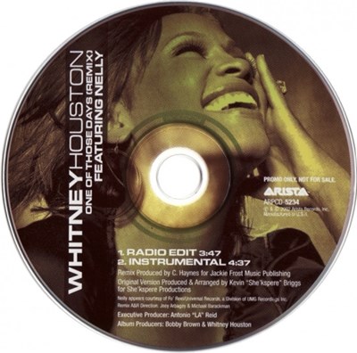 Whitney Houston Featuring Nelly - One Of Those Days (Remix) download mp3 flac