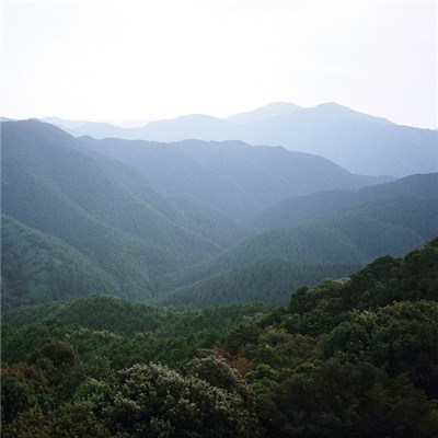 Yorishiro download mp3 flac
