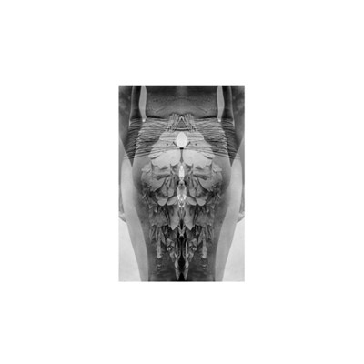 Giuseppe Ielasi - 15 More Tapes download mp3 flac