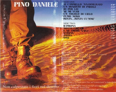 Pino Daniele - Non Calpestare I Fiori Nel Deserto download mp3 flac