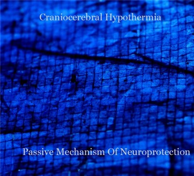 Craniocerebral Hypothermia - Passive Mechanism Of Neuroprotection download mp3 flac