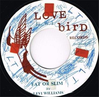 Levi Williams - Fat Or Slim download mp3 flac