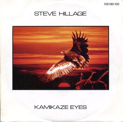 Steve Hillage - Kamikaze Eyes download mp3 flac