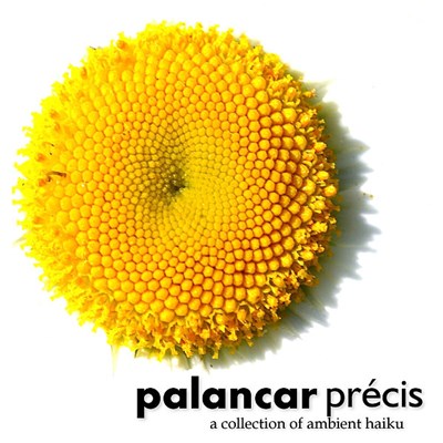 Palancar - Précis - A Collection Of Ambient Haiku download mp3 flac