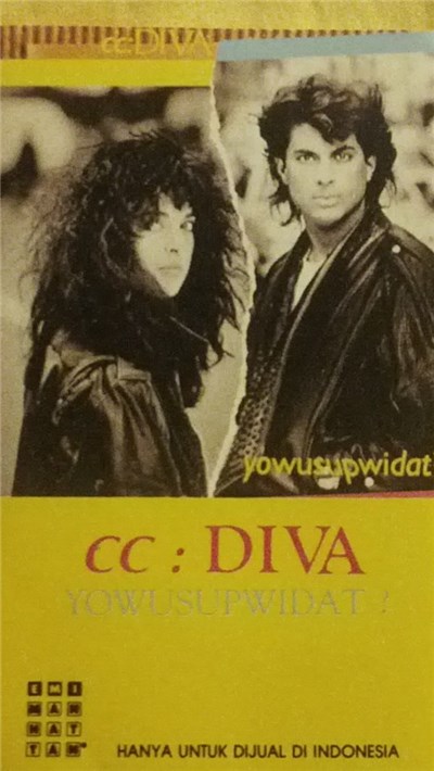 cc: DIVA - Yowusupwidat ? download mp3 flac