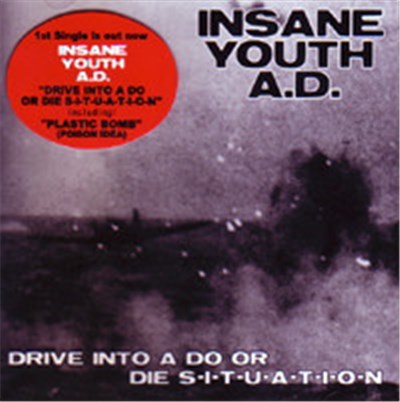 Insane Youth A.D. - Drive Into A Do Or Die Situation download mp3 flac