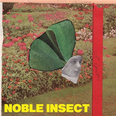 Guided By Voices - Noble Insect download mp3 flac