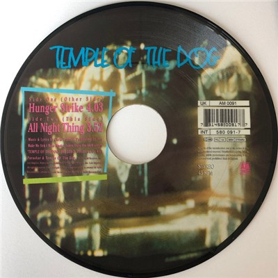 Temple Of The Dog - Hunger Strike download mp3 flac