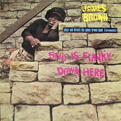 James Brown Plays And Directs The James Brown Band - Sho Is Funky Down Here download mp3 flac