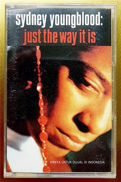 Sydney Youngblood - Just The Way It Is download mp3 flac